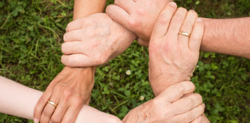 From https://www.pexels.com/photo/ground-group-growth-hands-461049/